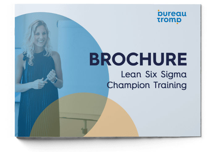 Brochure - Lean Six Sigma Champion Training