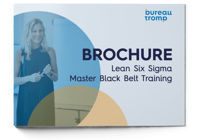 Brochure - Master Black Belt Training
